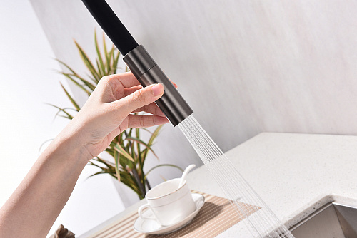 Смеситель для кухни Paulmark TORNADO вороненая сталь To213402-GM Смеситель для кухни Paulmark TORNADO вороненая сталь To213402-GM