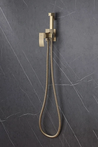 Гигиенический душ ABBER Wasserfall AF8625G золото матовое Гигиенический душ ABBER Wasserfall AF8625G золото матовое