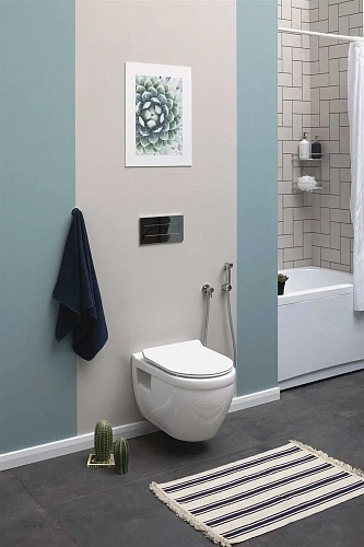 Унитаз подвесной Aquanet Rimless Glide-W CL-11042 с сиденьем Унитаз подвесной Aquanet Rimless Glide-W CL-11042 с сиденьем