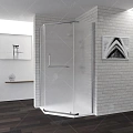 Душевой уголок RGW PA-81 Passage 01088199-21 Душевой уголок RGW PA-81 Passage 01088199-21
