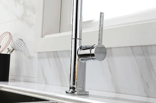 Смеситель для кухни Paulmark Neo хром Ne214419-CR Смеситель для кухни Paulmark Neo хром Ne214419-CR