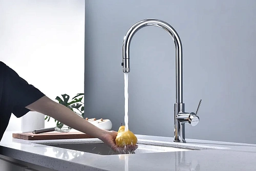 Смеситель для кухни Paulmark Galant хром Ga213077-CR Смеситель для кухни Paulmark Galant хром Ga213077-CR