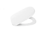 Крышка-сиденье Roca Beyond Soft Close, supralit, белый матовый 801B8262B