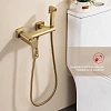 Гигиенический душ Raglo R51.51.03 настенный, сатин золотой Гигиенический душ Raglo R51.51.03 настенный, сатин золотой
