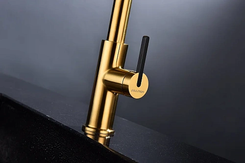 Смеситель для кухни Paulmark Tornado брашированное золото To213402-BG Смеситель для кухни Paulmark Tornado брашированное золото To213402-BG