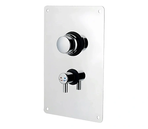 Смеситель для душа Remer Tempor TE32M порционный Смеситель для душа Remer Tempor TE32M порционный