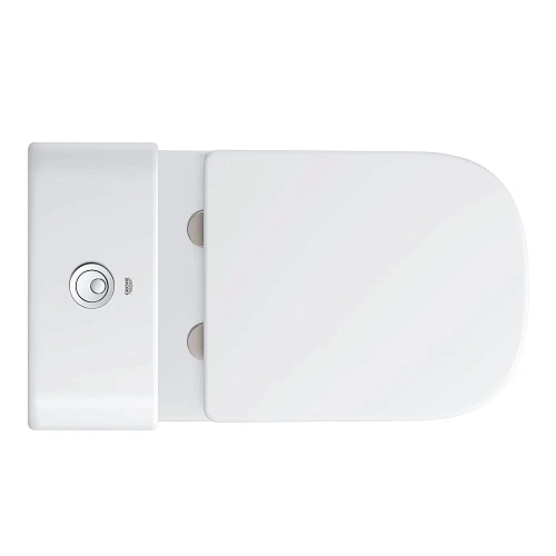 Унитаз напольный GROHE Euro Ceramic (без бачка и сиденья), альпин-белый (39338000) Унитаз напольный GROHE Euro Ceramic (без бачка и сиденья), альпин-белый (39338000)