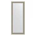 Зеркало в багетной раме Evoform Exclusive Floor BY 6120 81 x 201 см, хамелеон