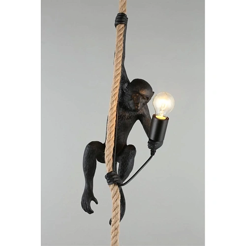 Светильник подвесной Aployt Magali APL.309.16.01 Светильник подвесной Aployt Magali APL.309.16.01