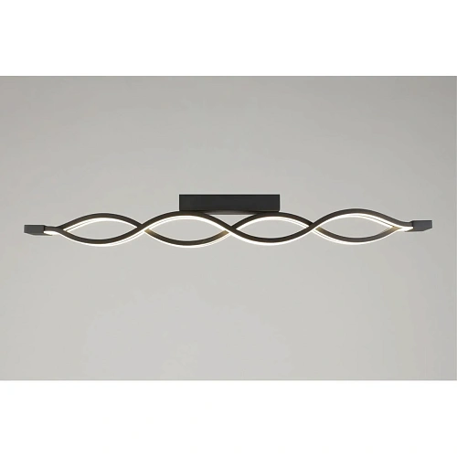 Светильник настенно-потолочный Aployt Nadayn APL.002.17.72 Светильник настенно-потолочный Aployt Nadayn APL.002.17.72