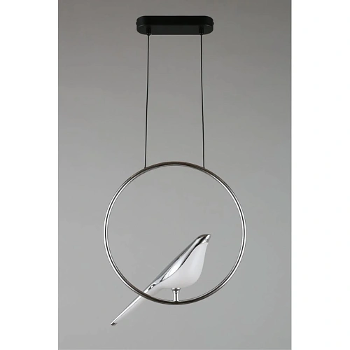 Светильник подвесной Aployt Astor APL.822.16.10 Светильник подвесной Aployt Astor APL.822.16.10