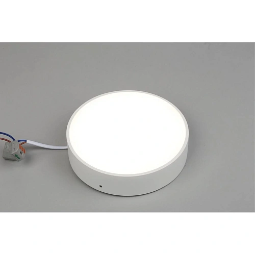 Светильник настенно-потолочный Aployt Evon APL.0114.09.18 Светильник настенно-потолочный Aployt Evon APL.0114.09.18