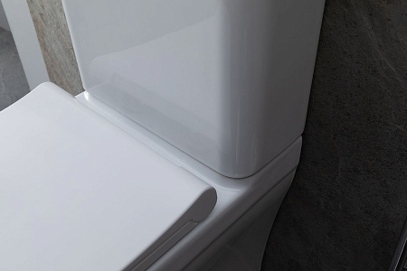 Чаша напольного унитаза Allen Brau Infinity 4.21012.20 с крышкой, белый глянец