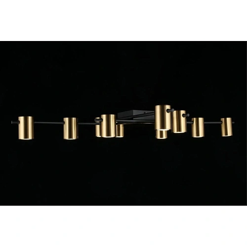 Люстра потолочная Aployt Elwisia APL.633.07.10 Люстра потолочная Aployt Elwisia APL.633.07.10