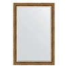 Зеркало в багетной раме Evoform Exclusive BY 3630 119 x 179 см, венель бронзовый Зеркало в багетной раме Evoform Exclusive BY 3630 119 x 179 см, венель бронзовый
