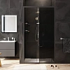 Душевая дверь AM.PM Gem W90G-110-1-195BG 110х195, стекло тонированное, профиль черный матовый Душевая дверь AM.PM Gem W90G-110-1-195BG 110х195, стекло тонированное, профиль черный матовый