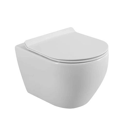 Унитаз подвесной CEZARESSTYLUS CZR-513-TH-R/CZR-076-SC безободковый с сиденьем Унитаз подвесной CEZARESSTYLUS CZR-513-TH-R/CZR-076-SC безободковый с сиденьем