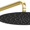 Верхний душ Allen Brau Priority 5.31A17-31GB черный/золото Верхний душ Allen Brau Priority 5.31A17-31GB черный/золото