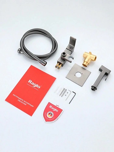 Гигиенический душ Raglo R02.54.09 встраиваемый, графит Гигиенический душ Raglo R02.54.09 встраиваемый, графит