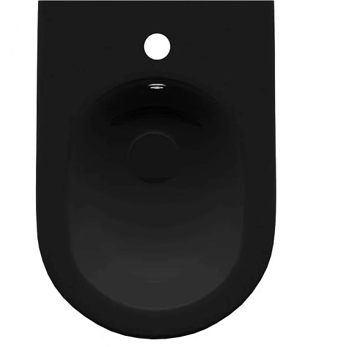 Биде напольное Allen Brau Reality 4.32005.31 черный Биде напольное Allen Brau Reality 4.32005.31 черный