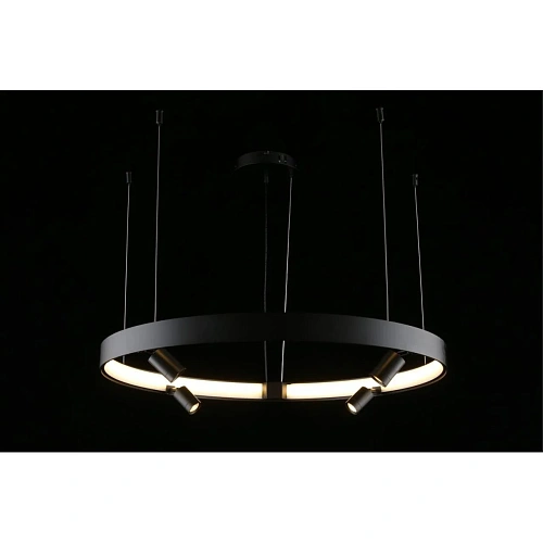 Люстра подвесная Aployt Jolanta APL.041.13.50 Люстра подвесная Aployt Jolanta APL.041.13.50