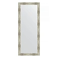 Зеркало в багетной раме Evoform Definite Floor BY 6012 81 x 201 см, алюминий Зеркало в багетной раме Evoform Definite Floor BY 6012 81 x 201 см, алюминий