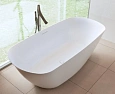 Ванна из искусственного камня Riho Bilo BS6500500000000 165x77 Ванна из искусственного камня Riho Bilo BS6500500000000 165x77