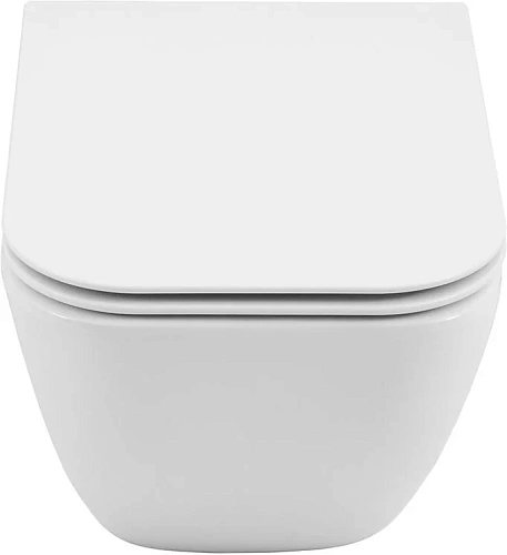 Унитаз подвесной Allen Brau Liberty 4.33012.20 с крышкой, белый Унитаз подвесной Allen Brau Liberty 4.33012.20 с крышкой, белый