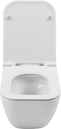 Унитаз подвесной Allen Brau Liberty 4.33012.20 с крышкой, белый