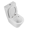 Унитаз напольный BelBagno FLAY-TOR BB2149CP-TOR/BB2149T/BB2111SC безободковый с сиденьем Унитаз напольный BelBagno FLAY-TOR BB2149CP-TOR/BB2149T/BB2111SC безободковый с сиденьем