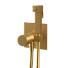 Гигиенический душ Remer Edge EG565BG, золото брашированное Гигиенический душ Remer Edge EG565BG, золото брашированное
