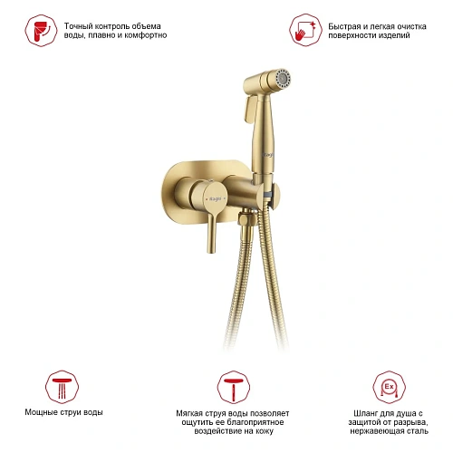 Гигиенический душ Raglo R20.52.03 встраиваемый, золотой сатин Гигиенический душ Raglo R20.52.03 встраиваемый, золотой сатин