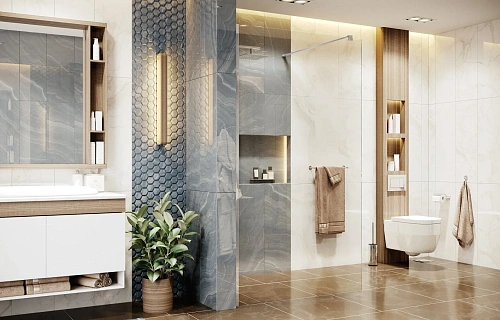 Душевая перегородка Ambassador Walk-in 15031103 (1100x2000) Душевая перегородка Ambassador Walk-in 15031103 (1100x2000)