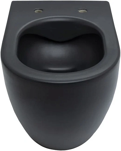 Унитаз подвесной Allen Brau Reality 4.32006.31 с крышкой, черный матовый Унитаз подвесной Allen Brau Reality 4.32006.31 с крышкой, черный матовый