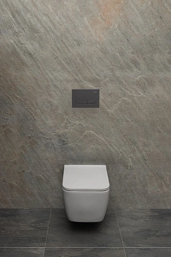 Унитаз подвесной Allen Brau Liberty 4.33007.AN с крышкой, антрацит Унитаз подвесной Allen Brau Liberty 4.33007.AN с крышкой, антрацит