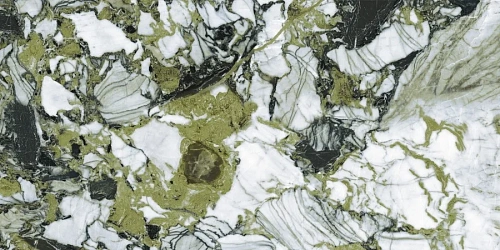 Керамогранит Neodom Belvedere Garden Green Polished 60x120 N40008 Керамогранит Neodom Belvedere Garden Green Polished 60x120 N40008