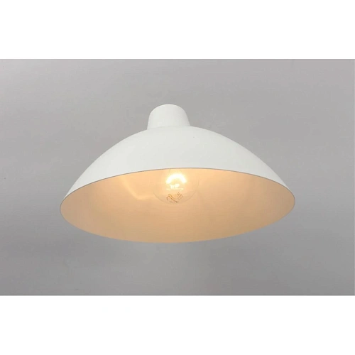 Светильник настенный (Бра) Aployt Klarka APL.632.11.01 Светильник настенный (Бра) Aployt Klarka APL.632.11.01