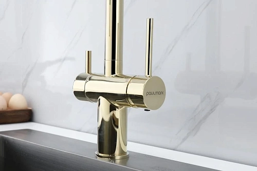 Смеситель для кухни Paulmark Gravity золото Gr213888-G Смеситель для кухни Paulmark Gravity золото Gr213888-G