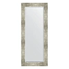Зеркало в багетной раме Evoform Exclusive BY 1170 61 x 146 см, алюминий Зеркало в багетной раме Evoform Exclusive BY 1170 61 x 146 см, алюминий