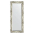 Зеркало в багетной раме Evoform Exclusive BY 1170 61 x 146 см, алюминий Зеркало в багетной раме Evoform Exclusive BY 1170 61 x 146 см, алюминий