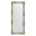 Зеркало в багетной раме Evoform Exclusive BY 1170 61 x 146 см, алюминий Зеркало в багетной раме Evoform Exclusive BY 1170 61 x 146 см, алюминий
