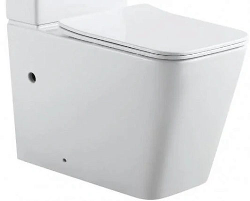 Чаша напольного унитаза Aquanet Rimless Tavr 2.0 C1 LX-2905 с сиденьем Чаша напольного унитаза Aquanet Rimless Tavr 2.0 C1 LX-2905 с сиденьем