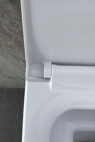 Комплект унитаза Allen Brau Infinity 4.21011.20/8.9466.0.000.000.1 (00316506) с инсталляцией, белый глянец Комплект унитаза Allen Brau Infinity 4.21011.20/8.9466.0.000.000.1 (00316506) с инсталляцией, белый глянец