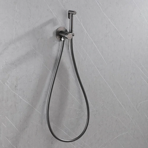 Гигиенический душ ABBER Wasser Kreis AF8125NG никель Гигиенический душ ABBER Wasser Kreis AF8125NG никель