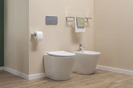 Биде напольное Aquanet Atago 2.0 B1 LX-1057A Биде напольное Aquanet Atago 2.0 B1 LX-1057A