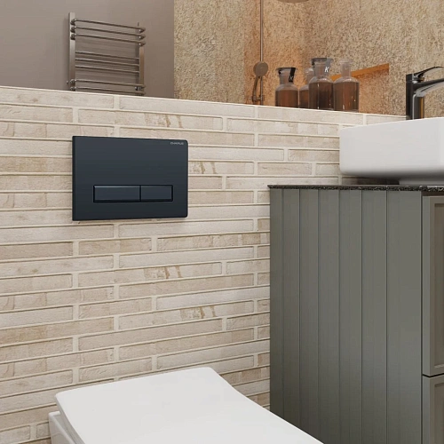 Клавиша смыва CHARUS RAIDEN FP.321.DW.01 черный матовый Клавиша смыва CHARUS RAIDEN FP.321.DW.01 черный матовый