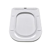 Крышка-сиденье Aquatek ДИВА AQ0212-00 белый Крышка-сиденье Aquatek ДИВА AQ0212-00 белый