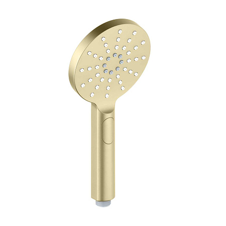 Душевая лейка Aquatek Оберон AQ2006BG золото шлифованное