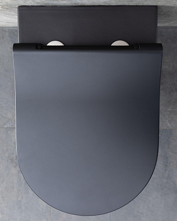 Унитаз подвесной Allen Brau Priority 4.31001.31 с крышкой, черный матовый