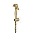 Гигиенический душ CEZARES ATLANTIS-U-IFS-02 с гибким шлангом 120 см и держателем, бронза Гигиенический душ CEZARES ATLANTIS-U-IFS-02 с гибким шлангом 120 см и держателем, бронза
